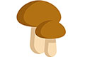 Mushrooms