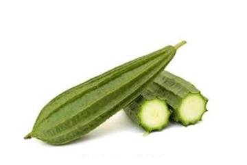 Ridge Gourd
