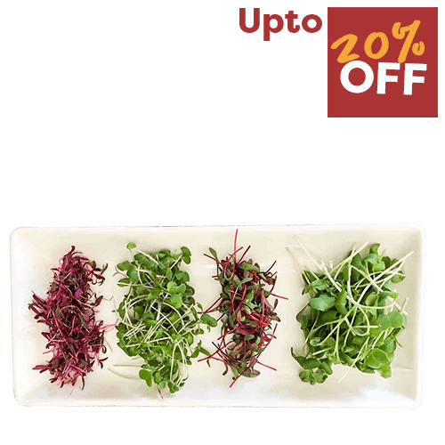 Microgreens